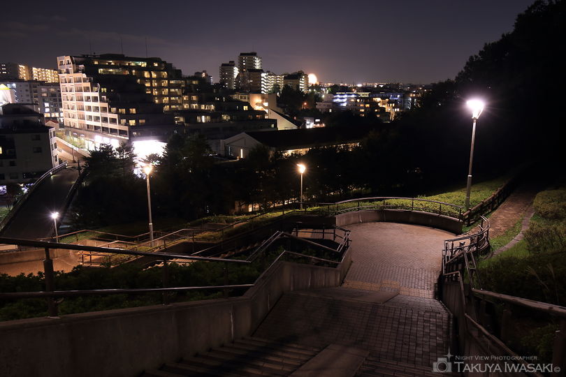 横浜国際プール南緑地の夜景スポット写真（2）