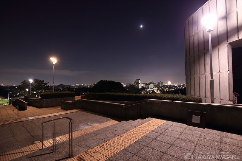 横浜国際プール南緑地の夜景スポット写真（4）