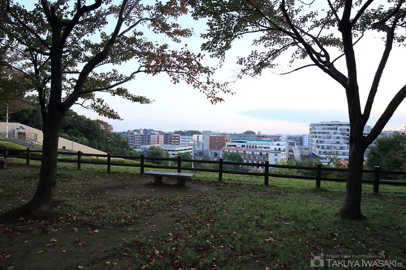 横浜国際プール南緑地の夜景スポット写真（5）