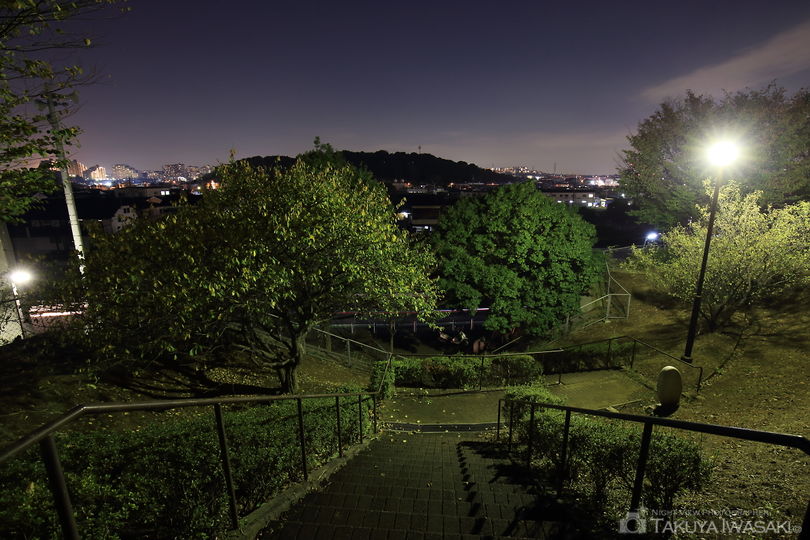 早渕かなりあ公園の夜景スポット写真（4）