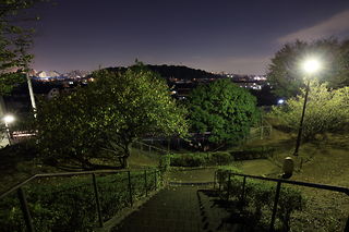 早渕かなりあ公園の夜景スポット写真（4）class=