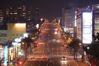 桜山歩道橋の夜景