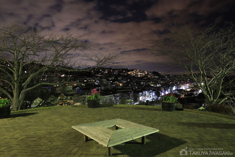 富岡西公園の夜景スポット写真（3）