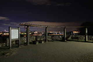 富岡総合公園 北台展望台の夜景スポット写真（4）class=