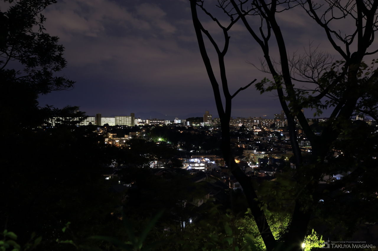 松の内公園の夜景スポット写真（2）