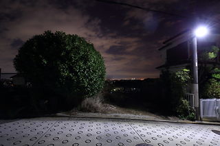 黒船見物の丘の夜景スポット写真（4）class=