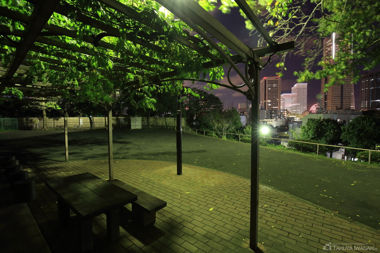 御所山公園の夜景スポット写真（4）