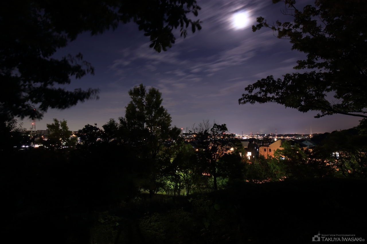 滝ヶ谷公園の夜景スポット写真（2）