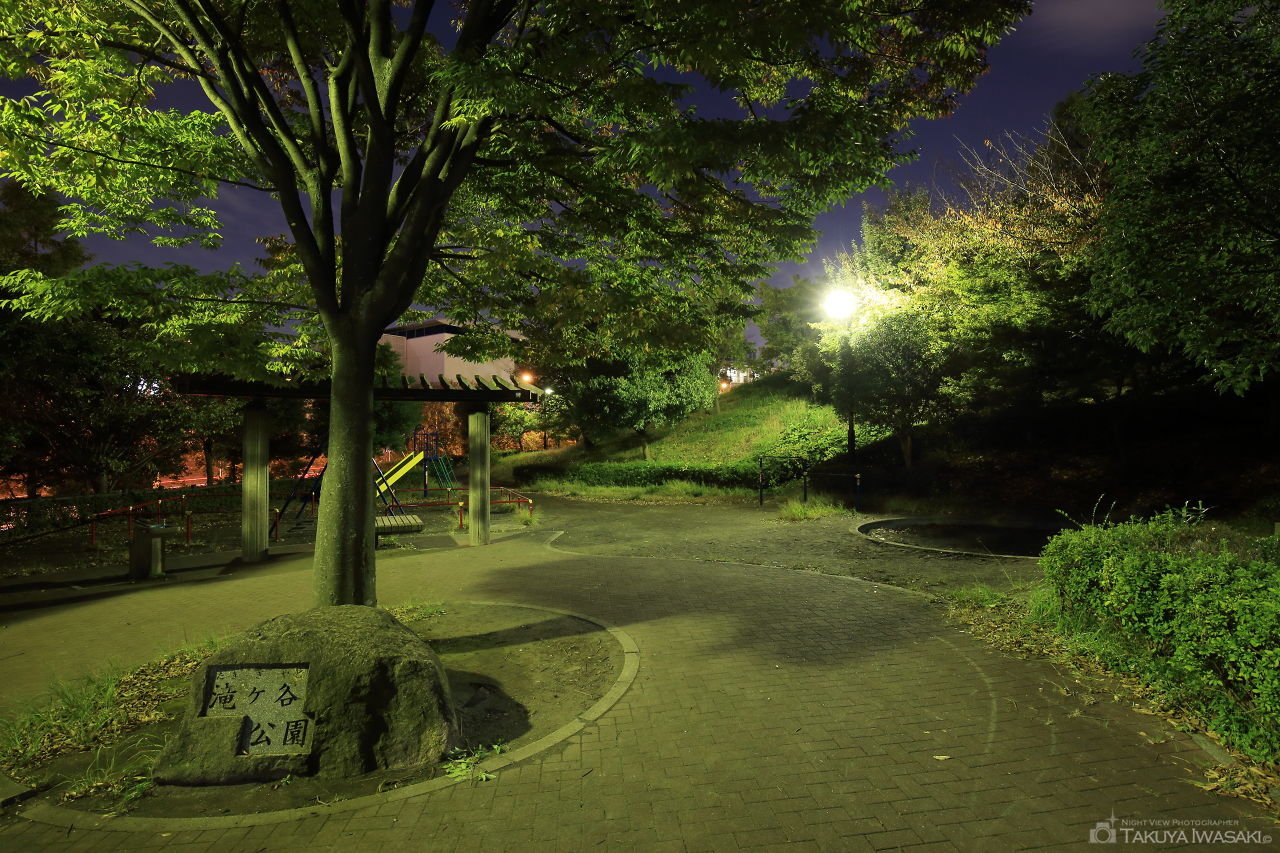 滝ヶ谷公園の夜景スポット写真（4）