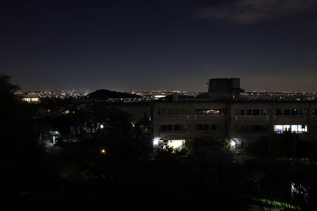 遠くに稲田堤方面の夜景を望む
