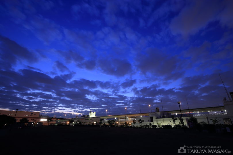 磯子・海の見える公園の夜景スポット写真（2）
