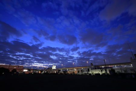 首都高速湾岸線と日没後の夜空を見上げる