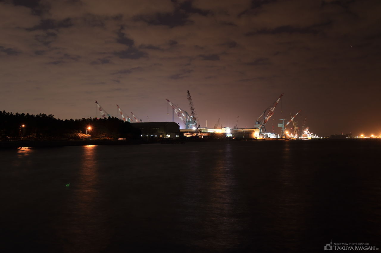 杉田臨海緑地の夜景スポット写真（1）