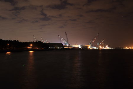 杉田臨海緑地の夜景スポット写真（1）class=