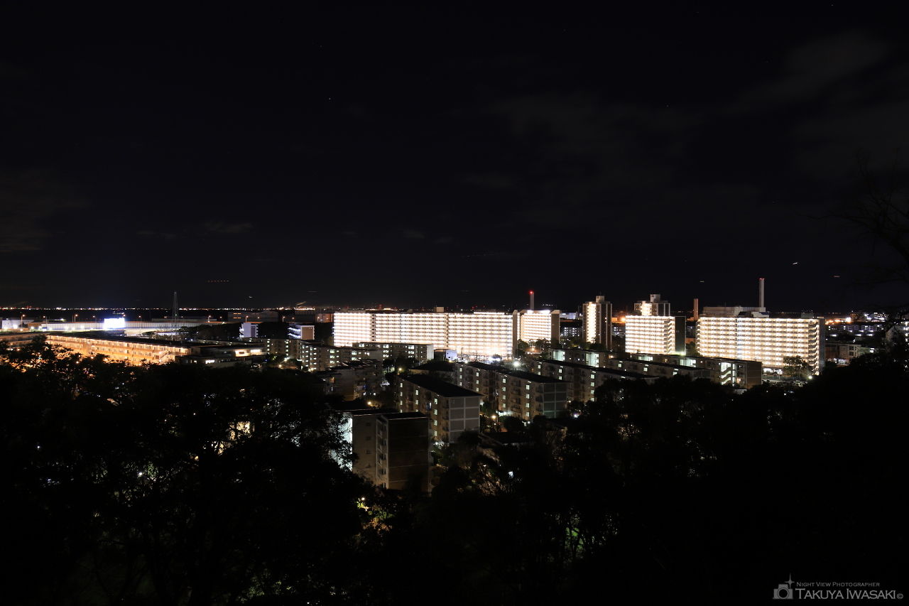 富岡総合公園 見晴らし台の夜景スポット写真（1）