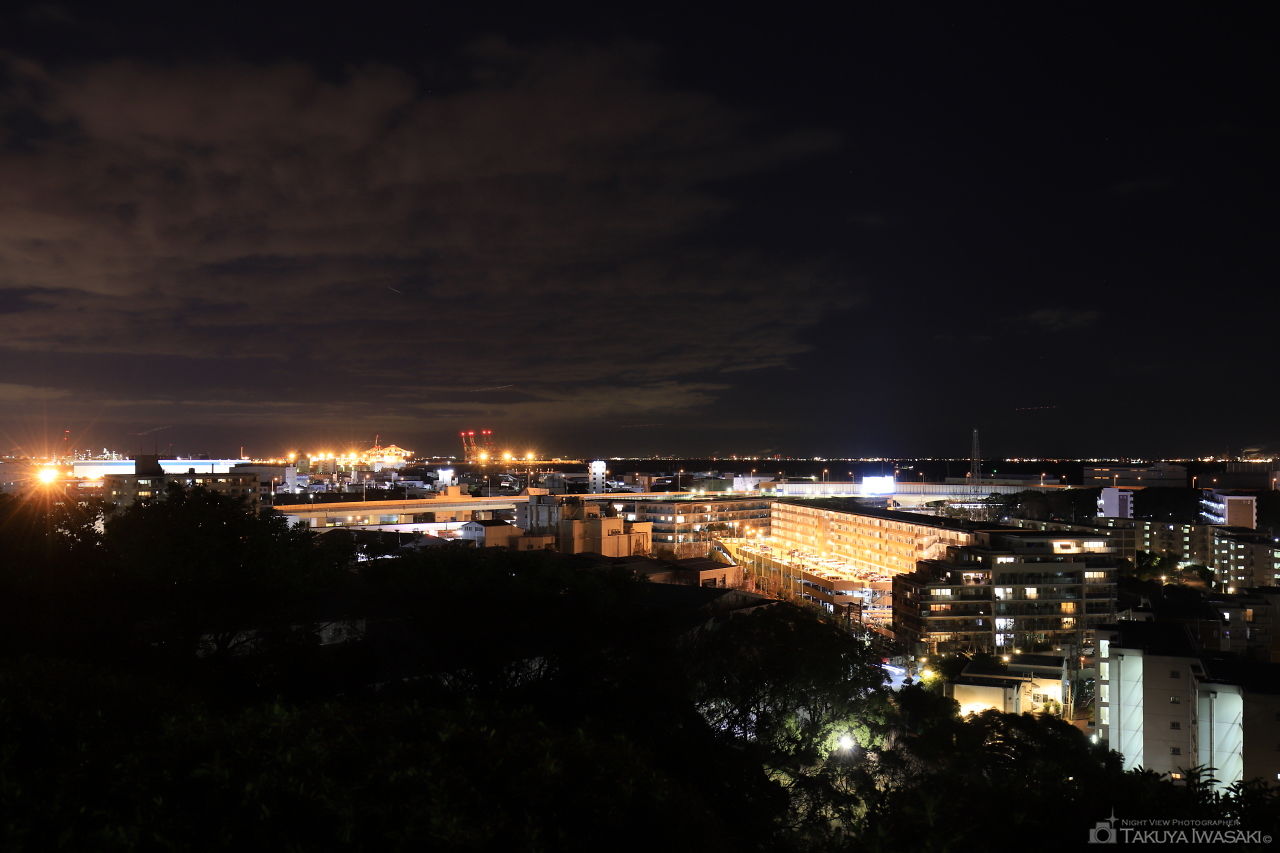 富岡総合公園 見晴らし台の夜景スポット写真（2）