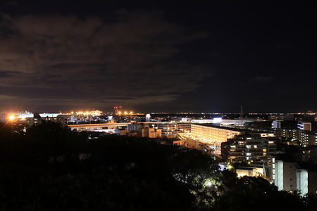 富岡総合公園 見晴らし台の夜景スポット写真（2）class=