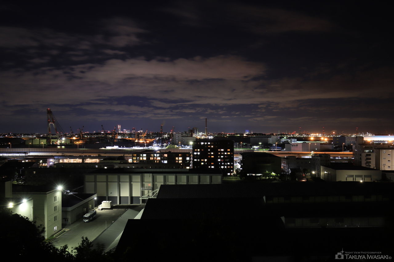富岡総合公園 見晴らし台の夜景スポット写真（3）