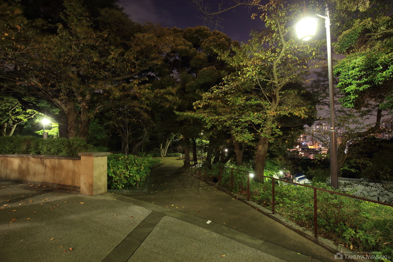 元町公園の夜景スポット写真（4）