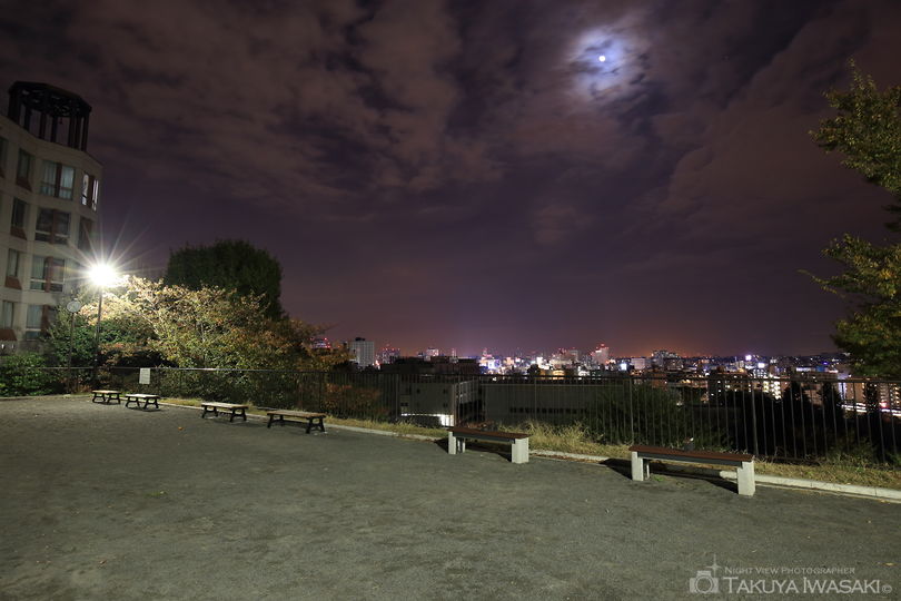三春台第二公園の夜景スポット写真（2）