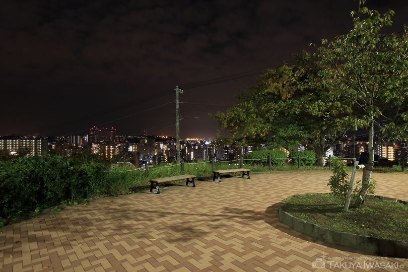 三春台第二公園の夜景スポット写真（4）