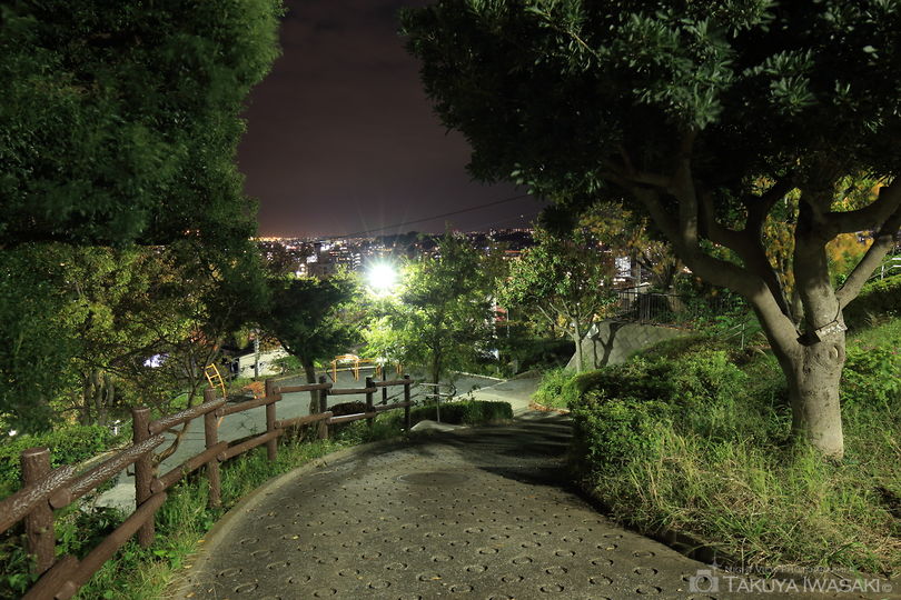三春台第二公園の夜景スポット写真（5）