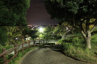 三春台第二公園の夜景スポット写真（5）class=