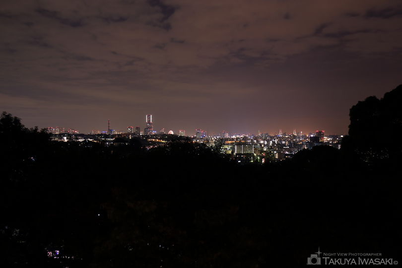 弘明寺公園の夜景スポット写真（1）