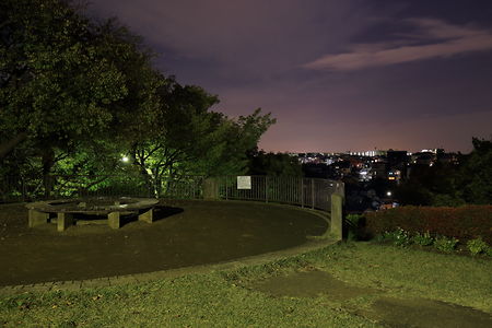 平戸みはらし公園の夜景スポット写真（2）class=