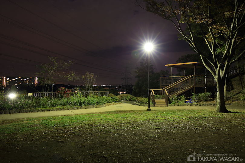 秋葉台公園の夜景スポット写真（5）