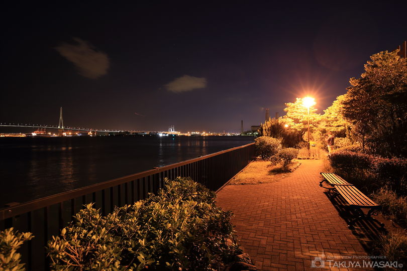 海芝公園の夜景スポット写真（4）