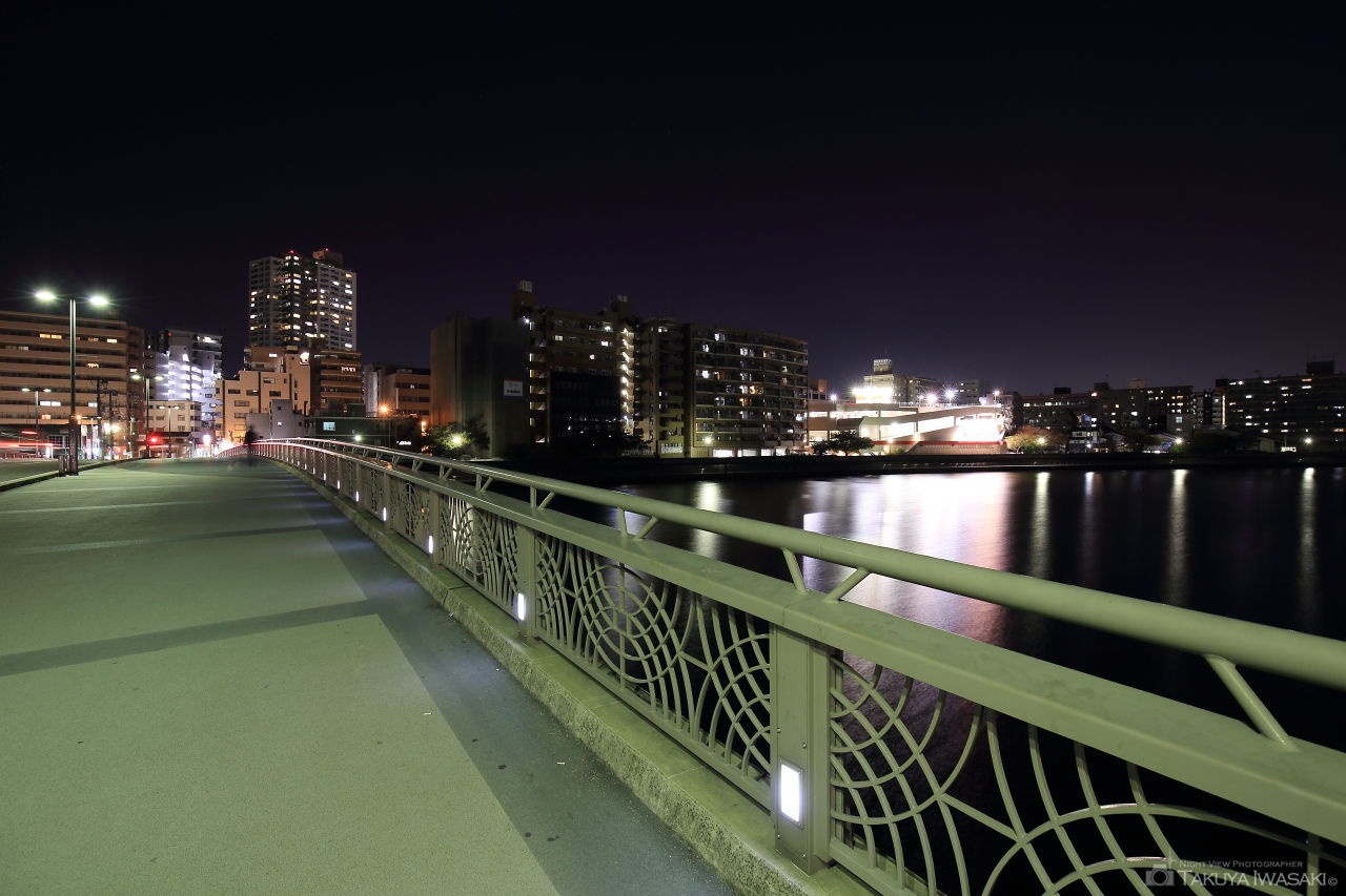 潮見橋の夜景スポット写真（3）