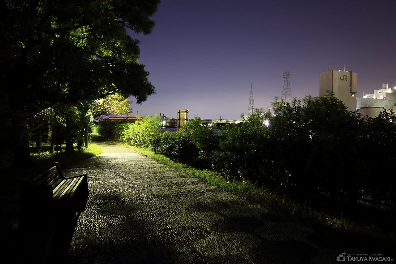 大川緑地の夜景スポット写真（4）