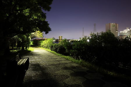 大川緑地の夜景スポット写真（4）class=