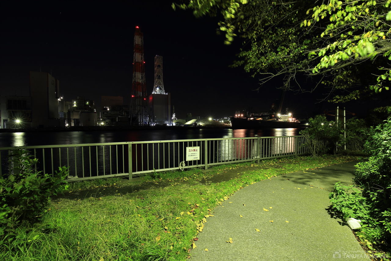 大川緑地の夜景スポット写真（5）