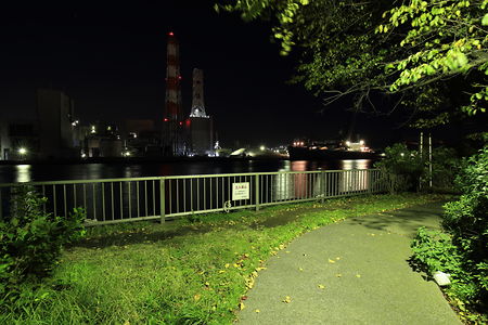 大川緑地の夜景スポット写真（5）class=
