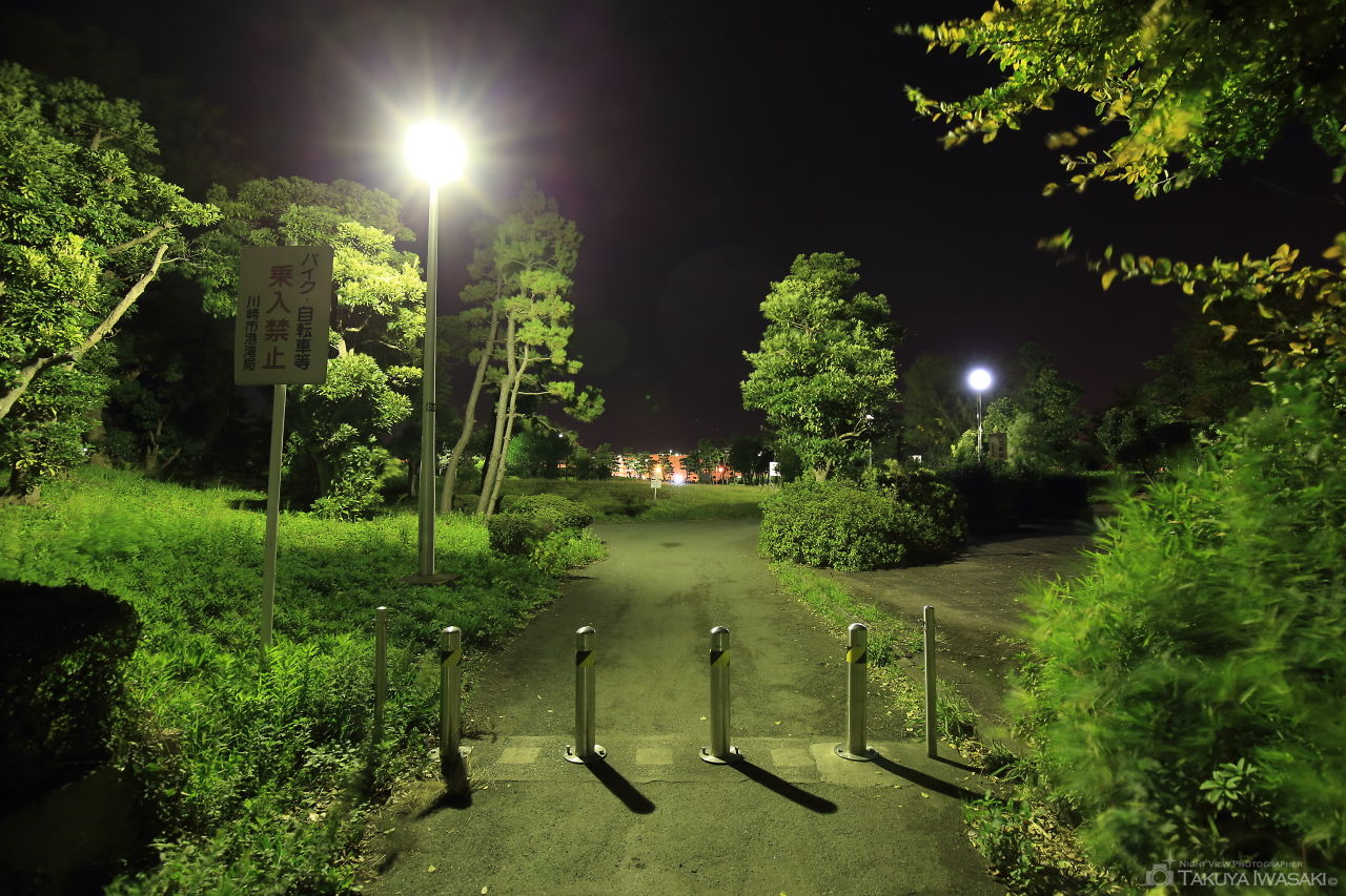 ちどり公園の夜景スポット写真（5）