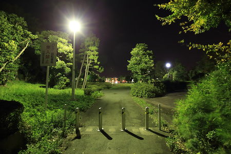 ちどり公園の夜景スポット写真（5）class=