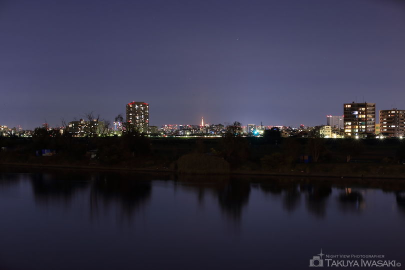多摩川見晴らし公園の夜景スポット写真（2）