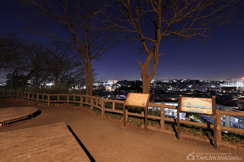 夢見ヶ崎動物公園の夜景スポット写真（5）