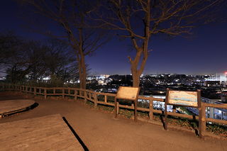 夢見ヶ崎動物公園の夜景スポット写真（5）class=