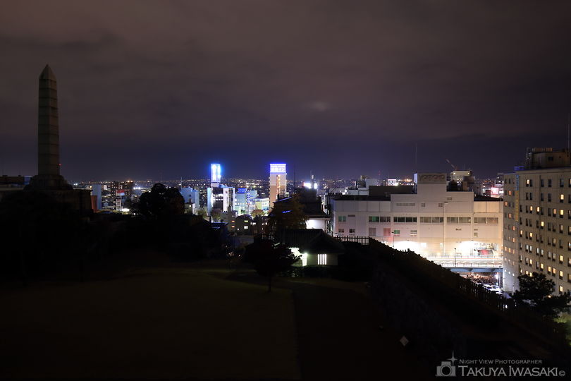 舞鶴城公園の夜景スポット写真（3）