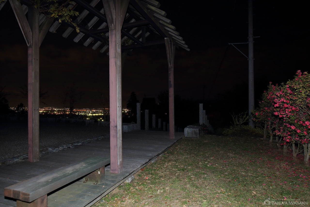 湯沢公園の夜景スポット写真（4）