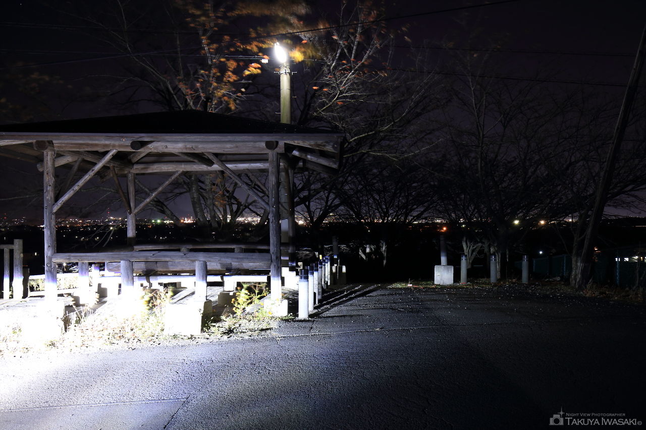 旭町上條中割の夜景スポット写真（4）