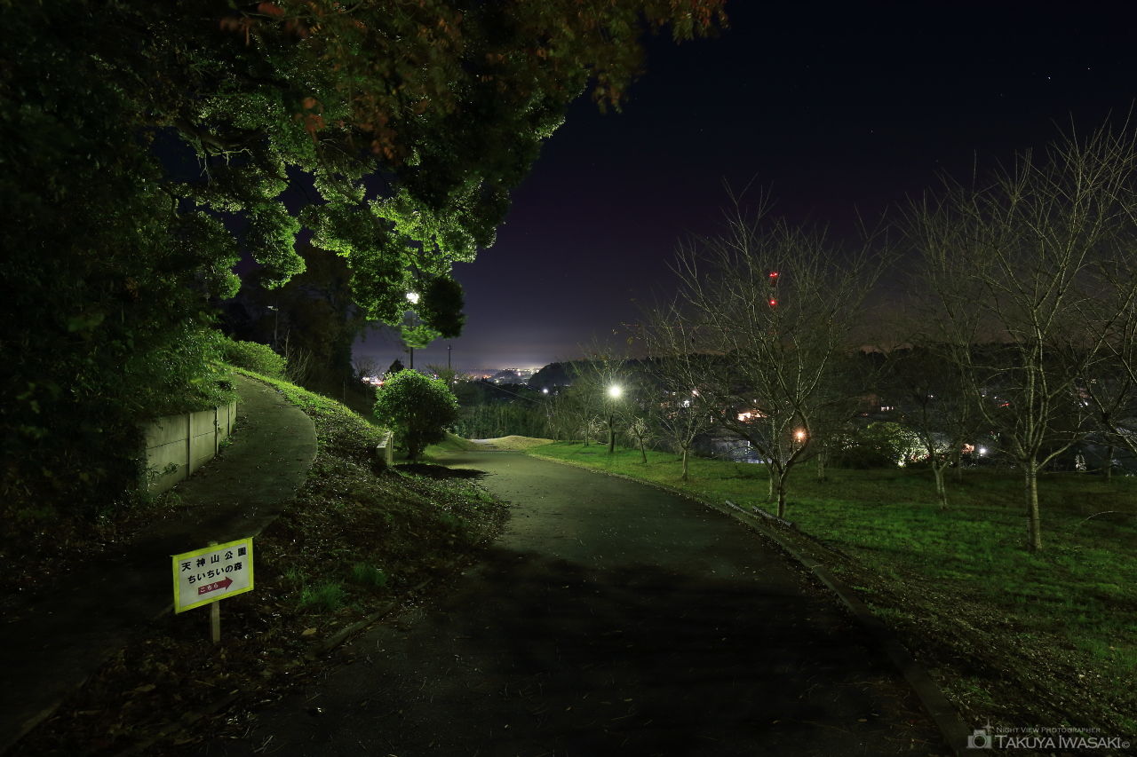 天神山公園の夜景スポット写真（4）