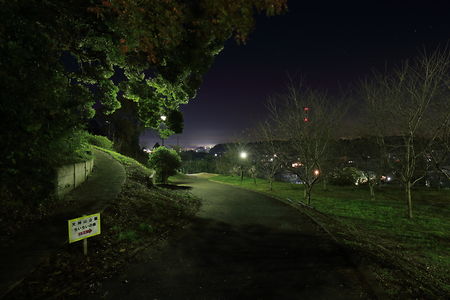 天神山公園の夜景スポット写真（4）class=