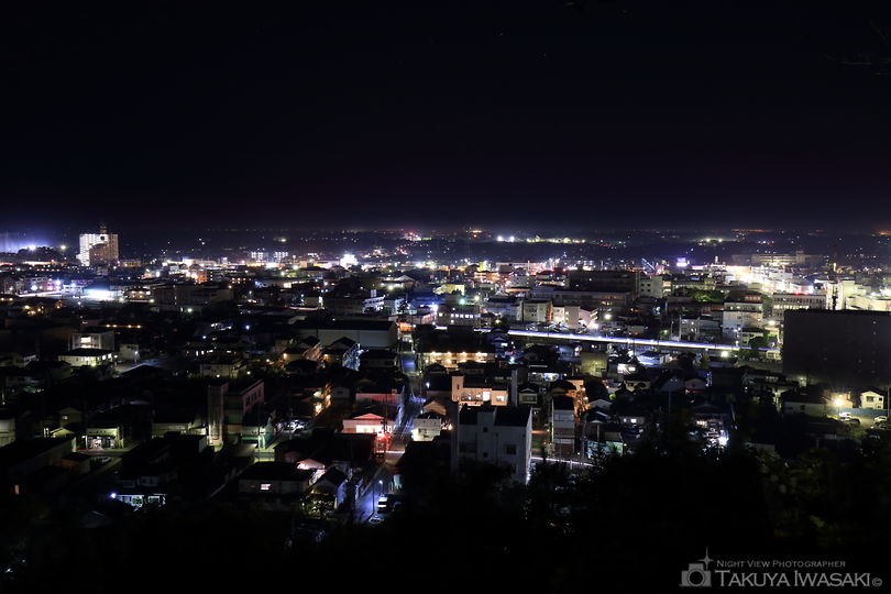 山王台公園の夜景スポット写真（1）