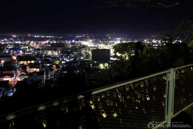 山王台公園の夜景スポット写真（3）