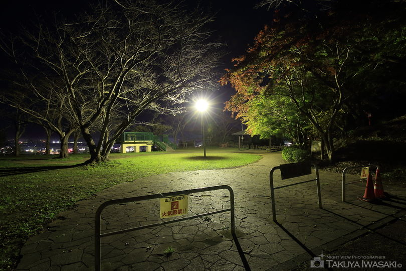 山王台公園の夜景スポット写真（5）