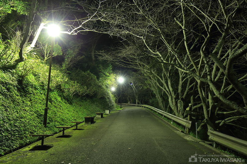 城山公園の夜景スポット写真（5）